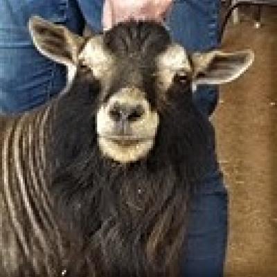 Proctor Hill Farm KA Kingspear